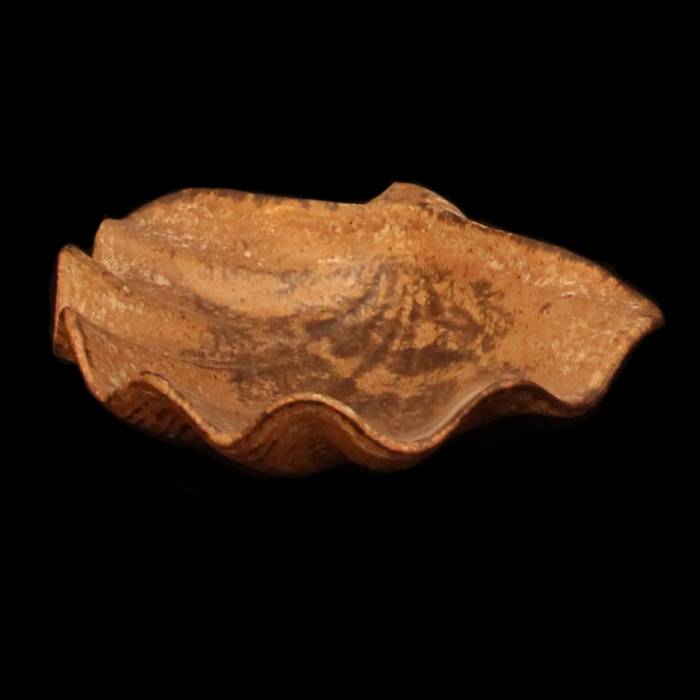Medium Shell