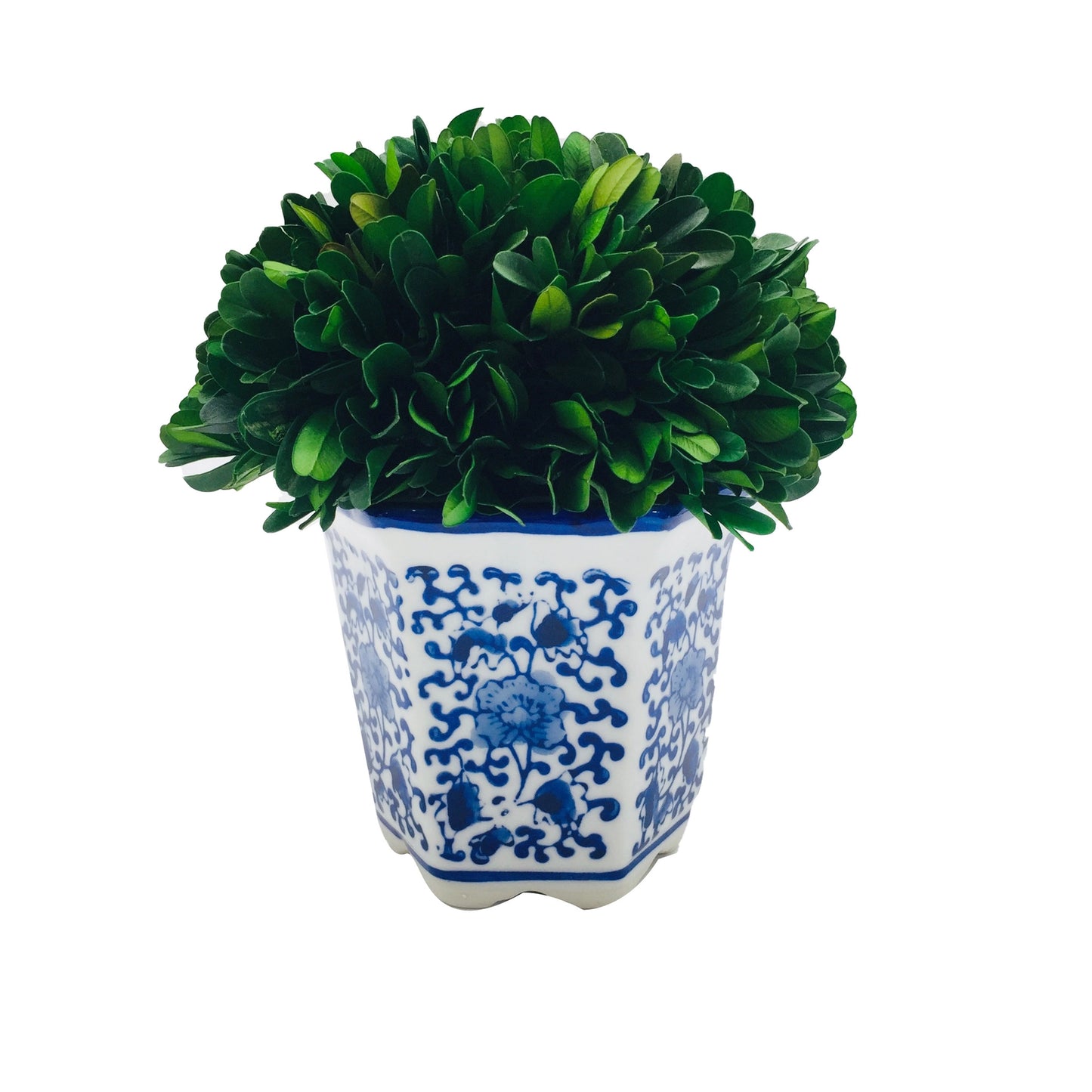 Boxwood Ball Topiary in Hexagon Blue & White Ceramic Pot