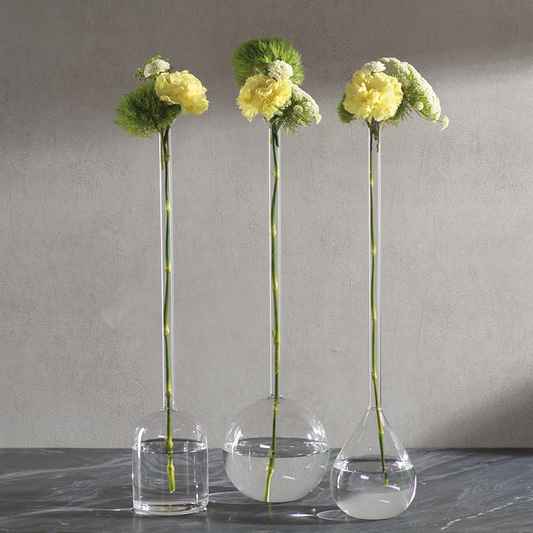 Long Neck Mouth Blown Vases