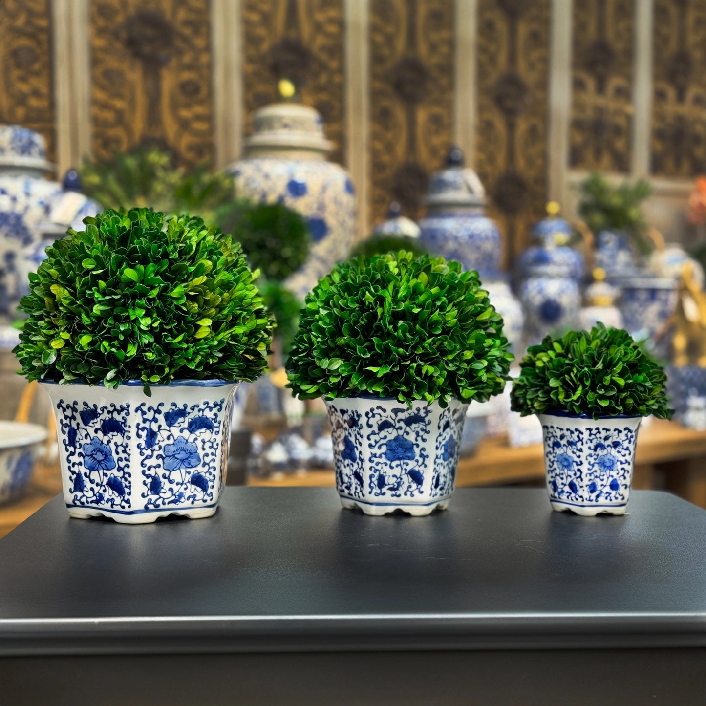 Boxwood Ball Topiary in Hexagon Blue & White Ceramic Pot