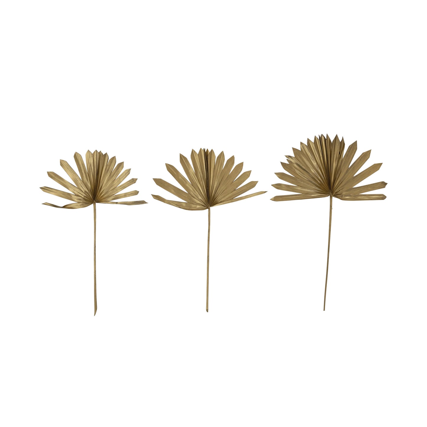 Dried Natural Sun Cut Palm Bunch, Gold Finish