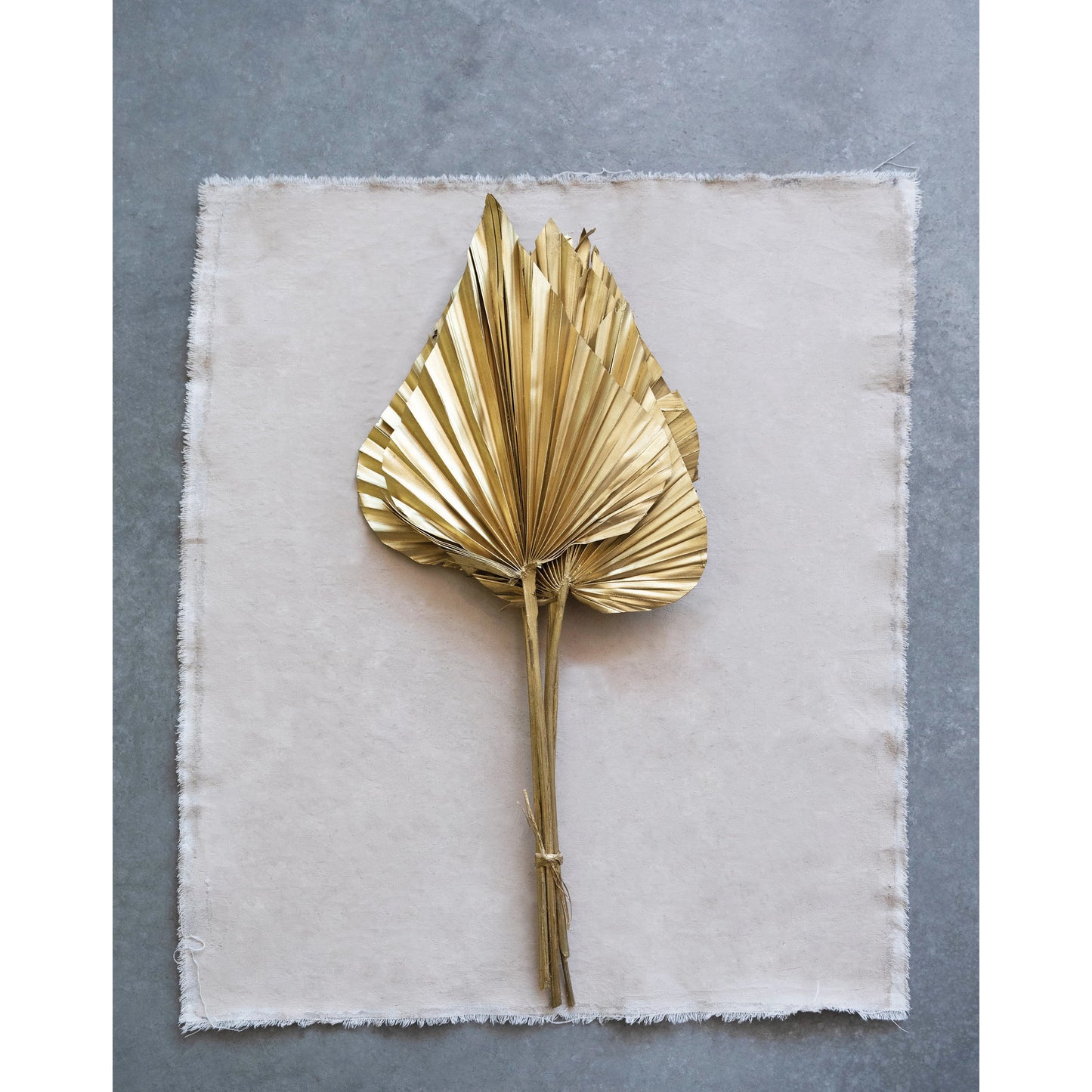 Dried Natural Spear Cut Palm Bunch, Gold Finish