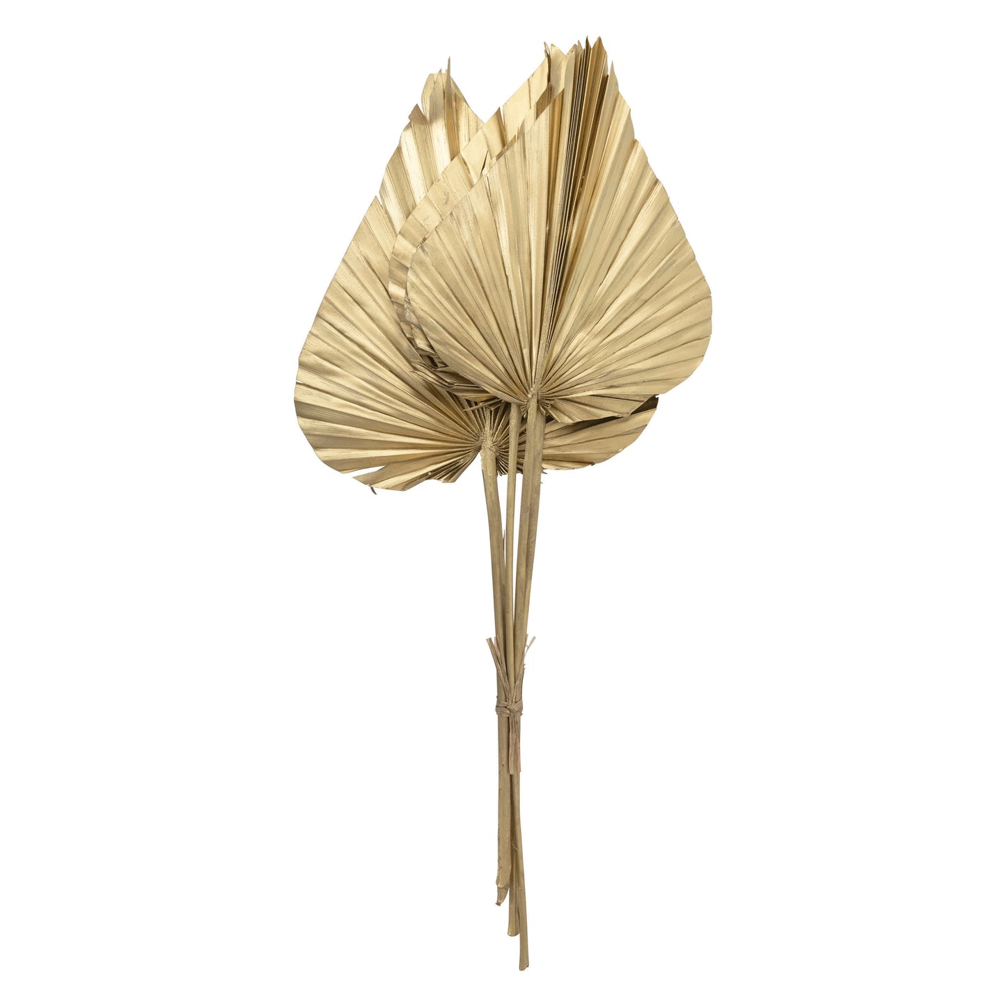 Dried Natural Spear Cut Palm Bunch, Gold Finish