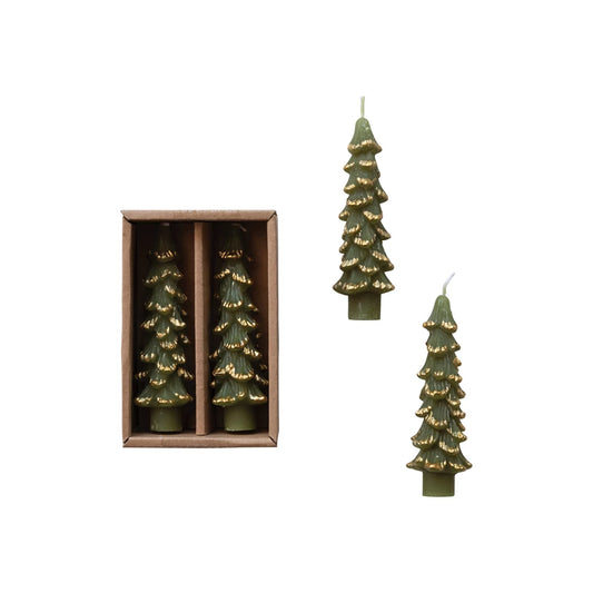 Unscented Tree Shaped 5" Taper Candles w/ Gold Tips in Box, Set of 2